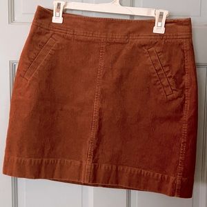 Loft corduroy skirt
